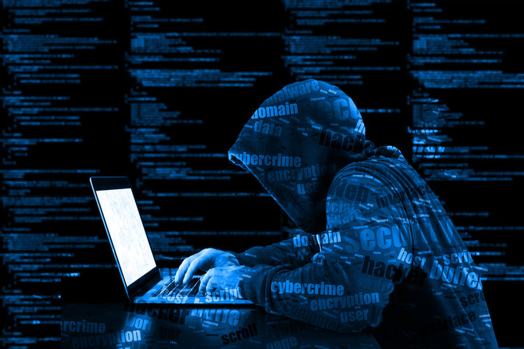 Cybercrime