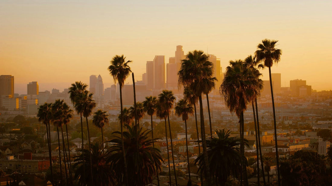 How to Get a California Guard Card in Los Angeles