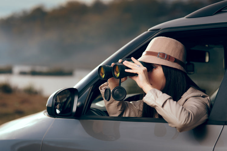 Private-Investigator-Entry-Level-Jobs