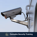 Cannabis-Security Course: CCTV Systems