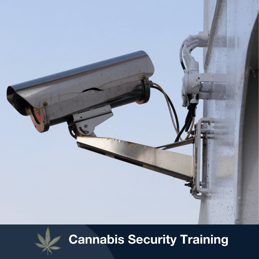 Cannabis-Security Course: CCTV Systems