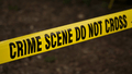 Crime Scene Reconstruction – An Introduction