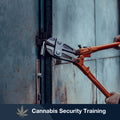 Cannabis-Security Course: Intrusion Detection