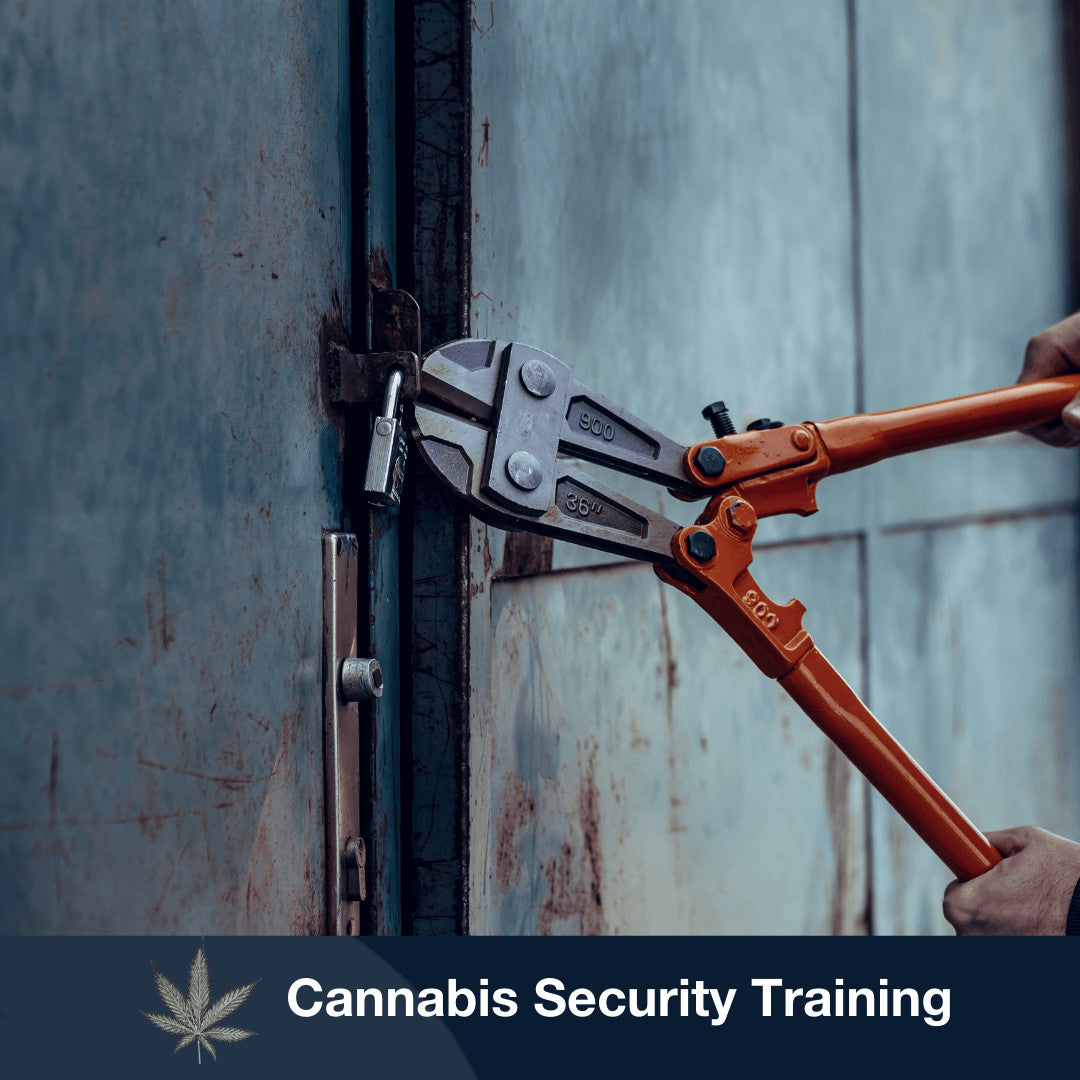 Cannabis-Security Course: Intrusion Detection
